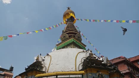 pigeons flying at a buddhist temple in nepal in kathmandu, birds in flight at a famous building for buddhism in kathmandu, old historic buildings in kathmandu city centre