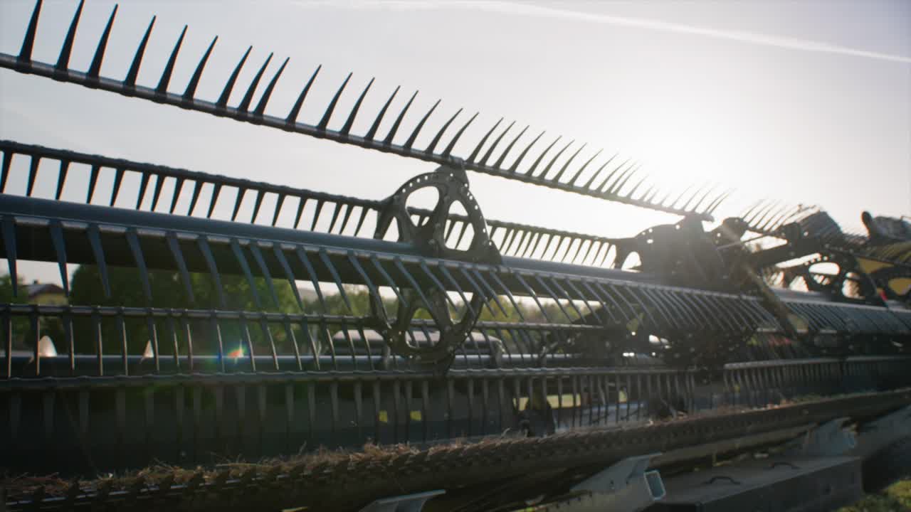 은 날에 유기농 콩을 수확하는 수확기