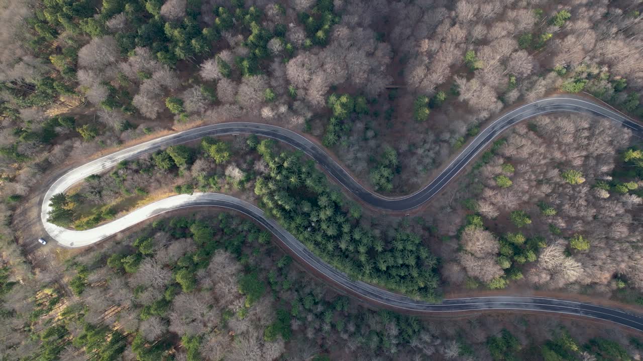 imágenes de drones 4k de ojo de pájaro - en el camino a las montañas de los cárpatos en rumania