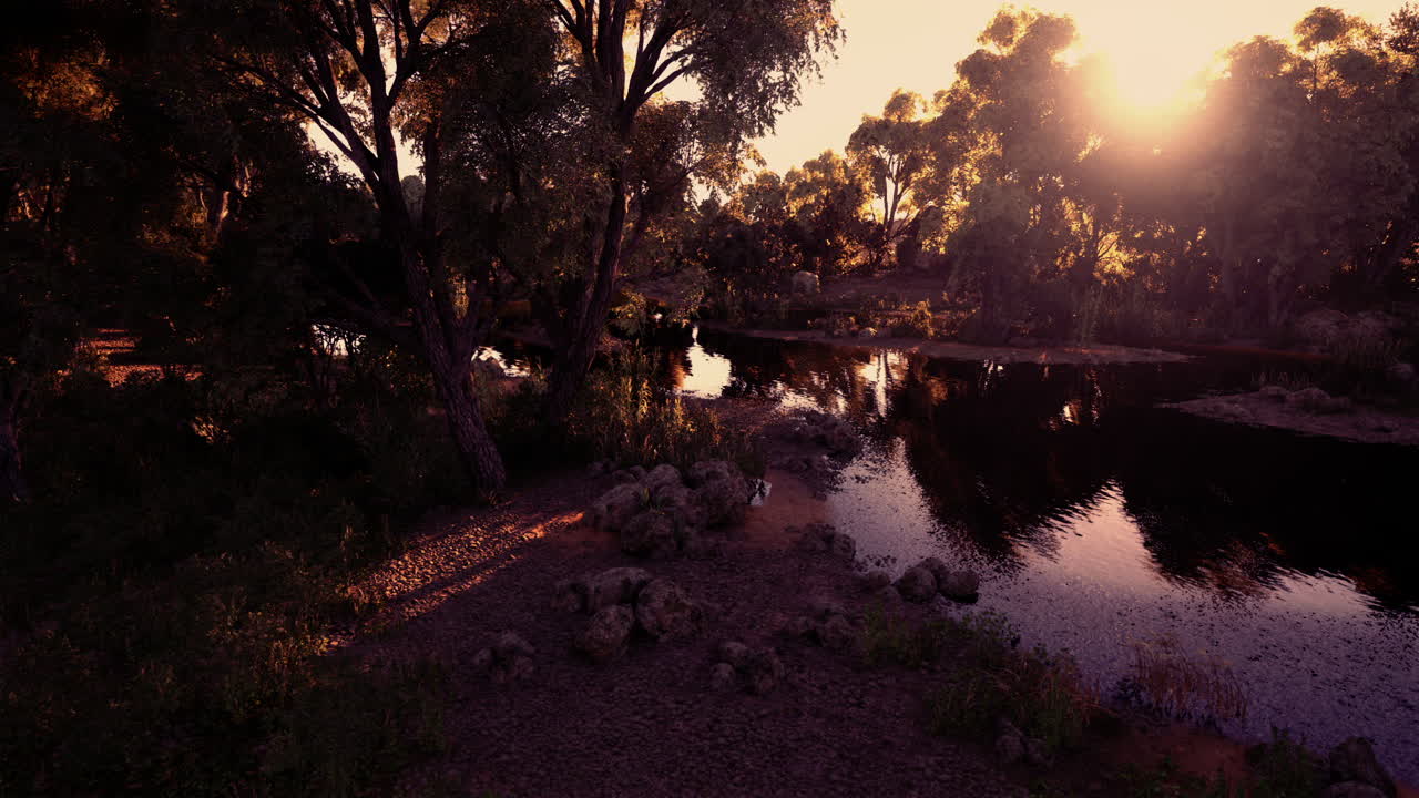 Tranquil Forest River at Sunset
