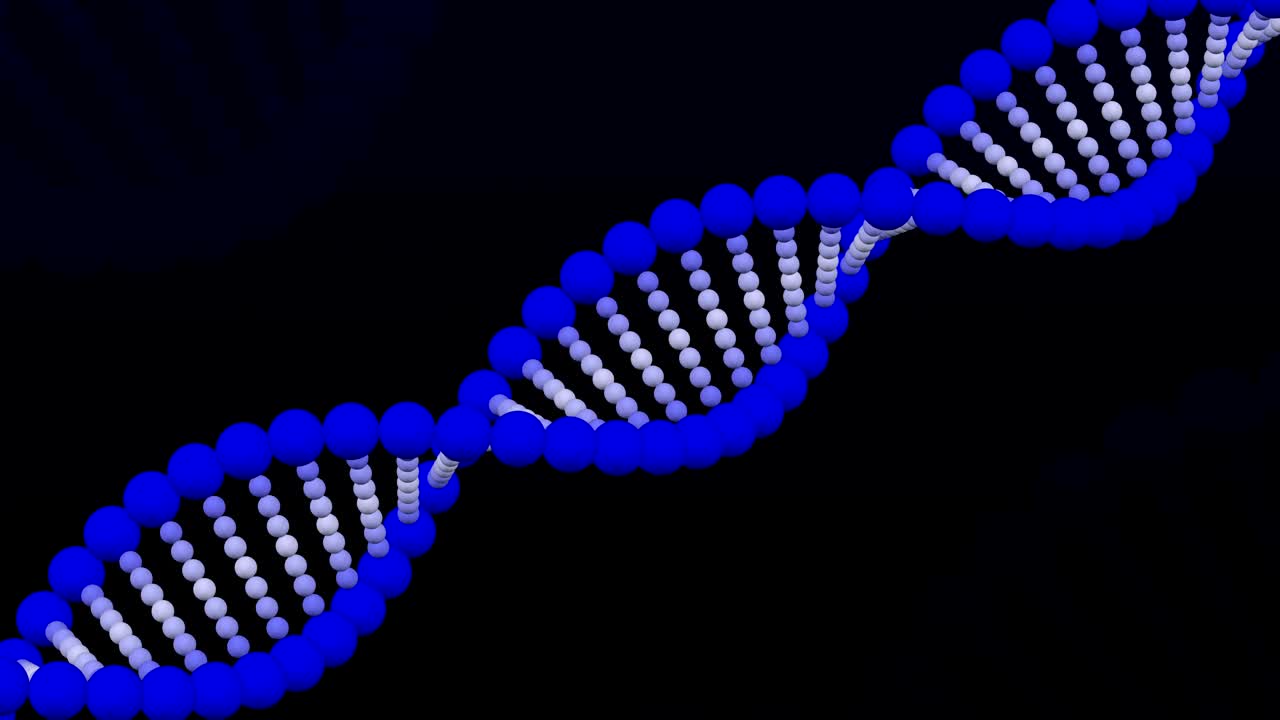 la creación de una molécula de adn.