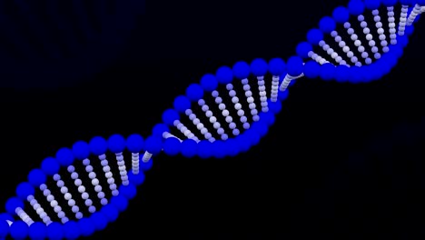 la creación de una molécula de adn.
