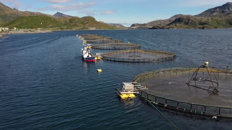 Aerial-footage-Farm-salmon-fishing-in-Norway