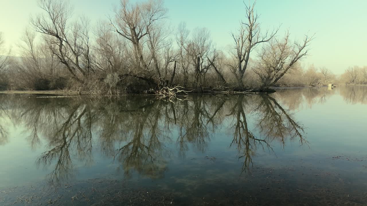 Leafless tree branches in winter reflect on the still, mirror-like surface of a river.