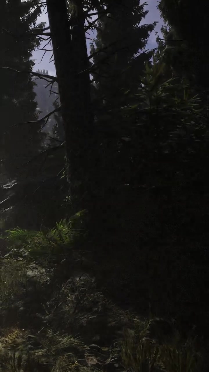 Misterioso sentiero nel bosco illuminato da una luce soffusa nelle ore del crepuscolo.
