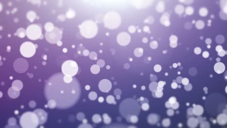 defocused particles background purple light - loop