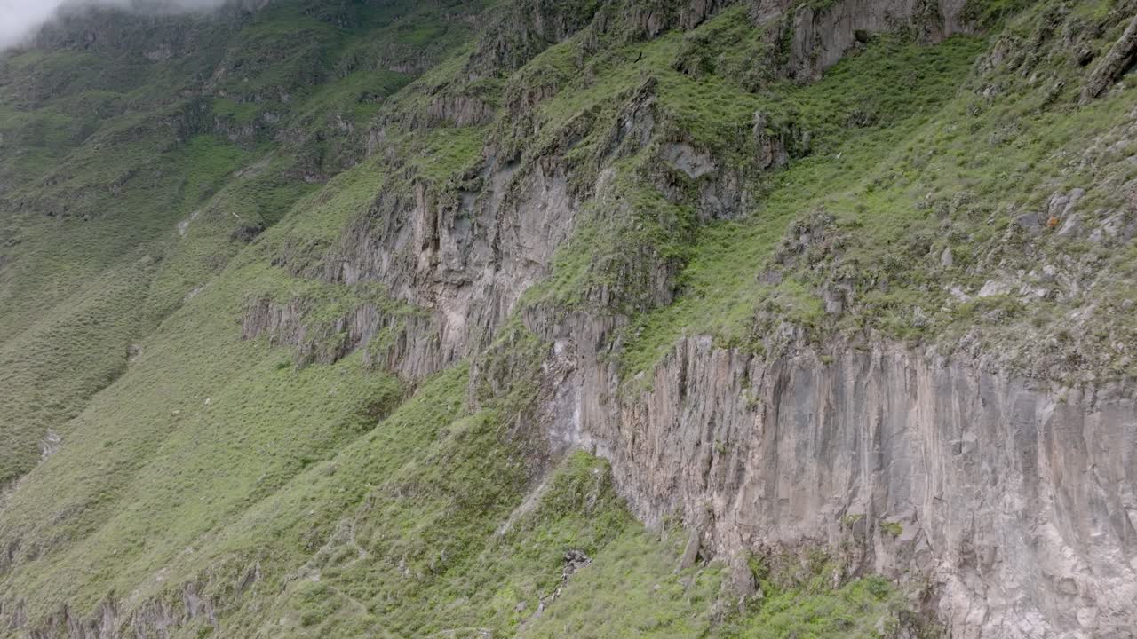 Drone shot of a towering cliff in the Colca Valley, with majestic condors soaring gracefully above the rugged terrain, highlighting the natural beauty and wildlife of the canyon.