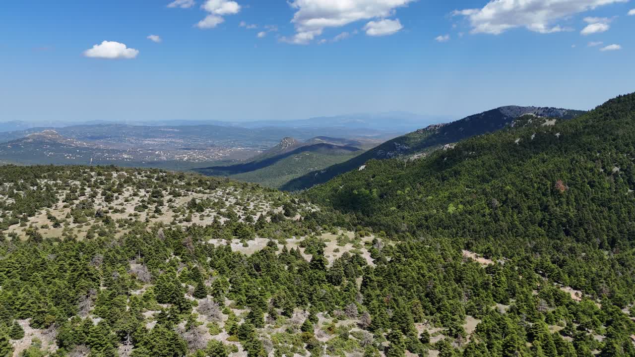 소나무 숲 위 를 천천히 날아다니는 것 | 드론 으로 산악 지역 을 찍는 것