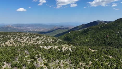 vuelo lento sobre un bosque de pinos | fotografía de un avión no tripulado de una zona montañosa