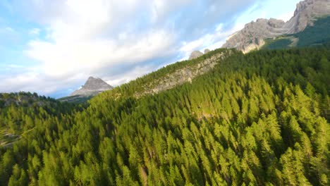 Alpine-forest-in-a-valley-in-Veneto,-Italy,-with-the-Dolomites-mountain-range-in-the-background-at-sunset