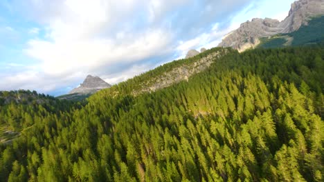 alpenwald in einem tal in venetien (italien) mit den dolomiten im hintergrund bei sonnenuntergang