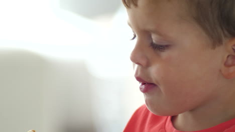 Cute-Little-Boy-Eating-Sandwich,-Close-Up