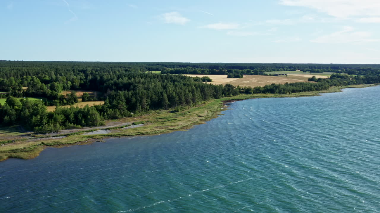 표면을 가로지르는 파도와 함께 바다에서 내륙으로 날아가는 모습
