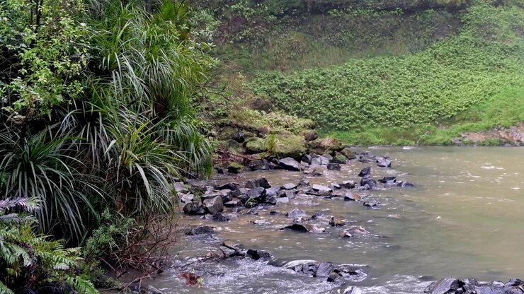 Natural waterhole surrounded by dense forest, plants and fauna, with choppy water lapping up from pool onto rocks, and spray in the air from waterfall in the wilderness of New Zealand Aotearoa
