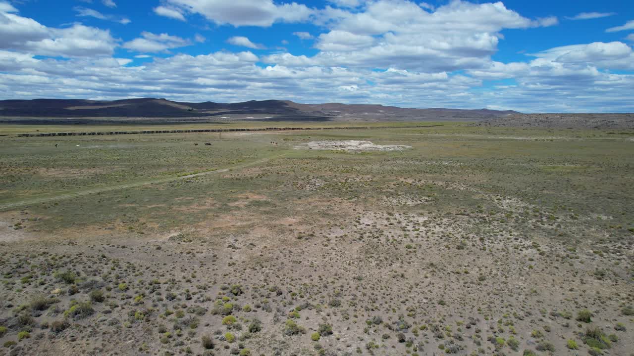 Ampla tomada de drone de um cavalo branco correndo perto de um velho trem abandonado na Patagônia.