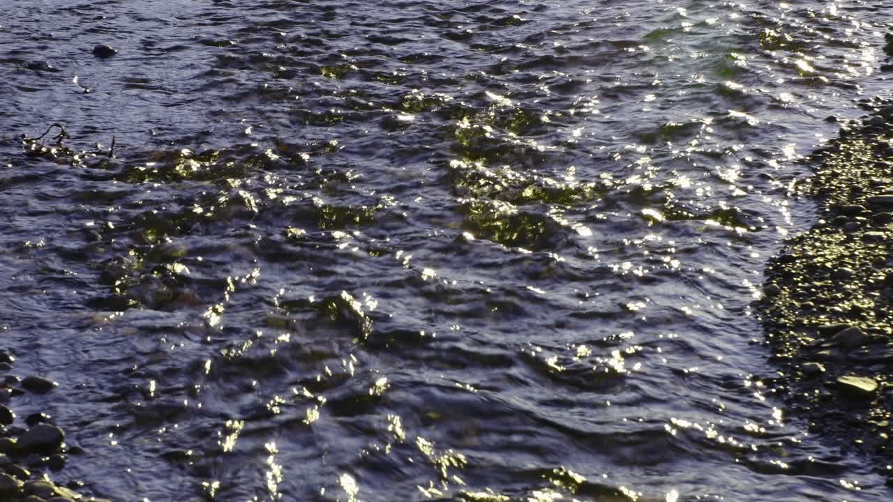 매우 시원한 일몰에 돌 위로 흐르는 작은 개울