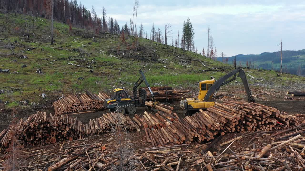 Overhead Shot of Forwarder Unloading Logs: Logging Industry at Work