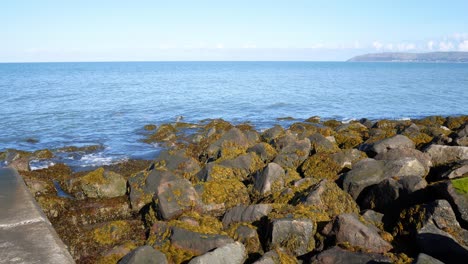 Sunny-blue-ocean-stone-pebble-beach-coastline-island-horizon-holiday-scene-left-dolly-shot