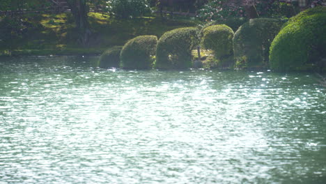 glistening water on pond on a sunny day at kenroku-en garden in kanazawa, ishikawa, japan