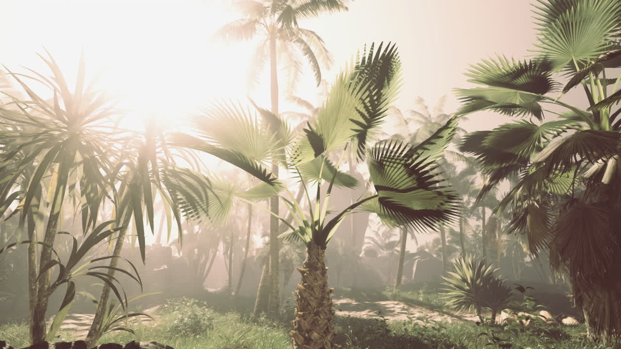 Tropical Sunrise Jungle Landscape