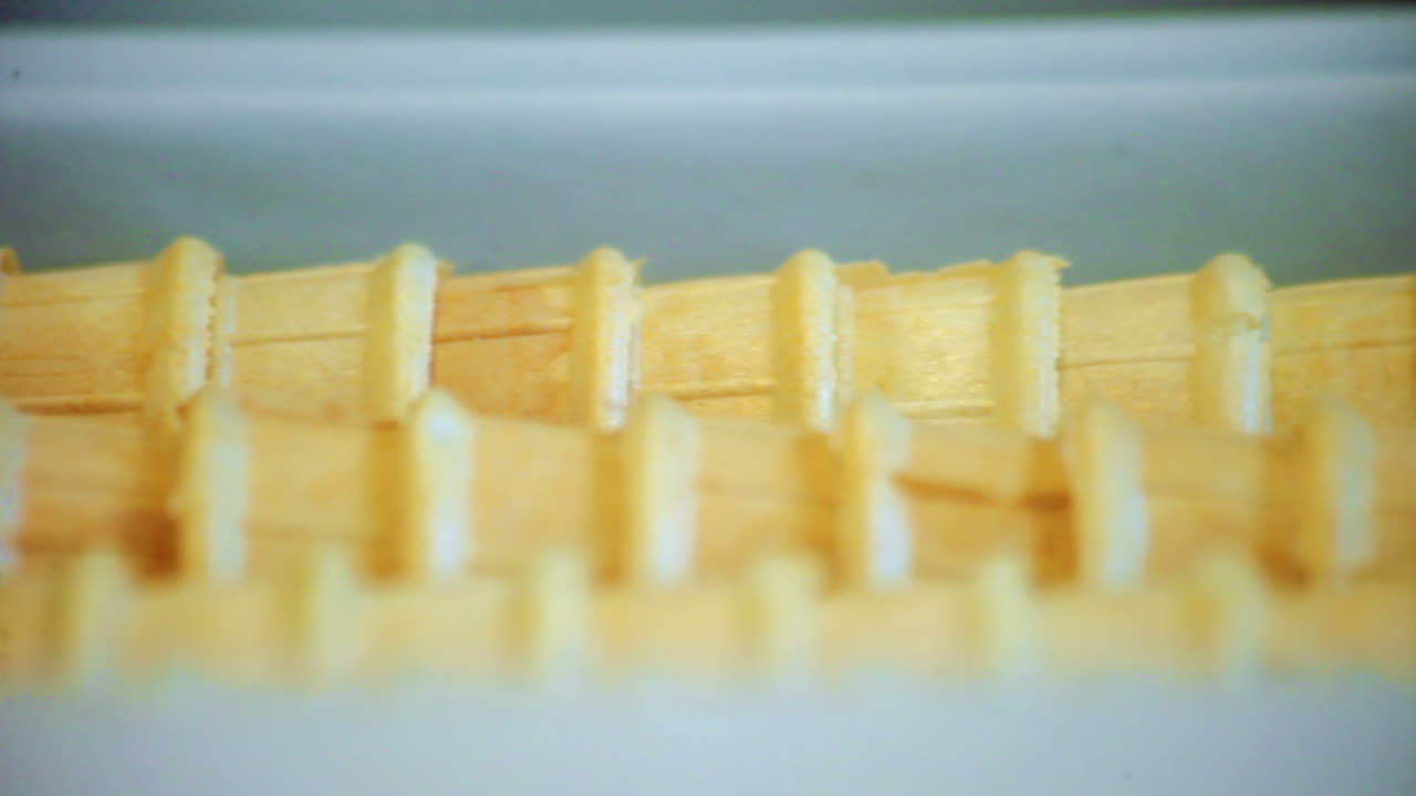 Waffle cone moving on production line. Sweet food production. Food manufacturing
