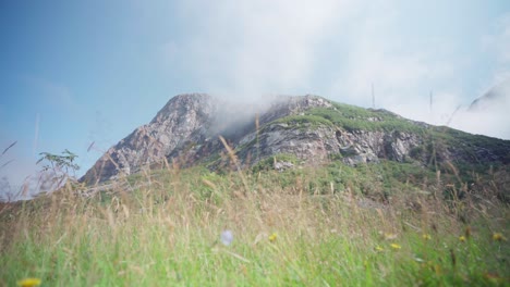 grassy and rocky mountain landscape of donnamannen in norway - medium shot