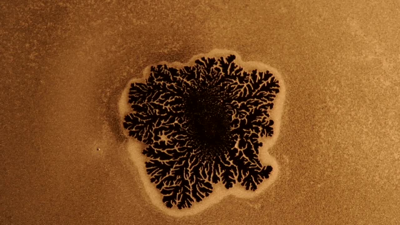 Crystalline Growth can be fast and amazing