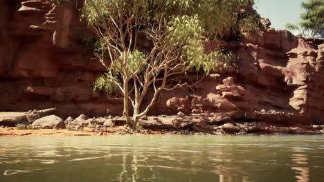 serene river landscape with red rock cliffs and a lone tree