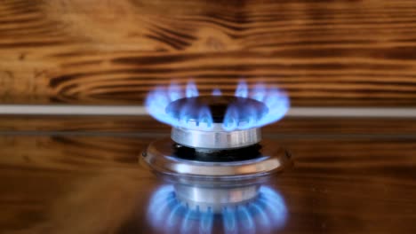 natural gas burning from a kitchen gas stove. blue flame on black background. turning on the cooktop gas cooker, close up