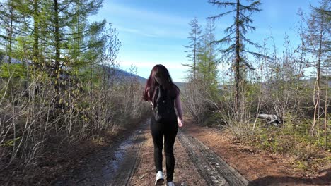 an adventurer walks through a narrow trail in a secluded forest during the afternoon, surrounded by tall trees and clear skies