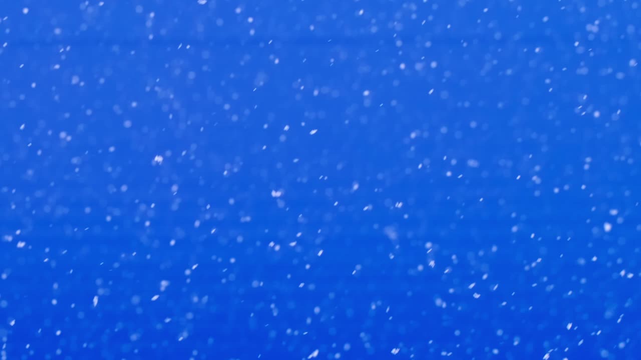 A Serene Winter Scene Featuring Softly Falling Snowflakes Against a Deep Blue Background, Capturing the Essence of a Tranquil Snowy Day in Nature's Beauty