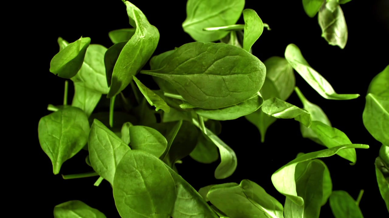 Foglie di spinaci verdi freschi che cadono e si sollevano su uno sfondo nero.