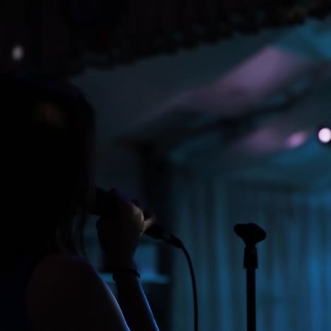 cantante con un micrófono en el escenario