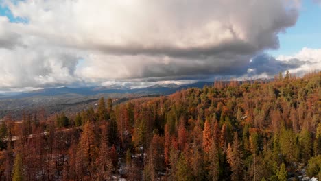 aerial view of mountains and forest after a winter storm