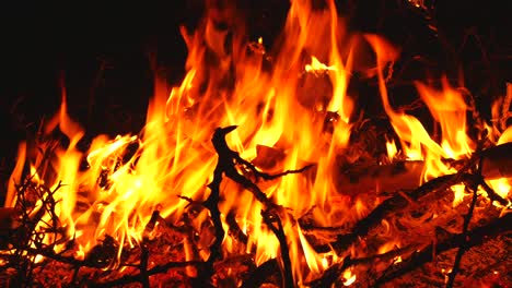 cerca del fuego.