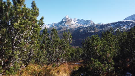 la montaña de los alpes de austria en europa