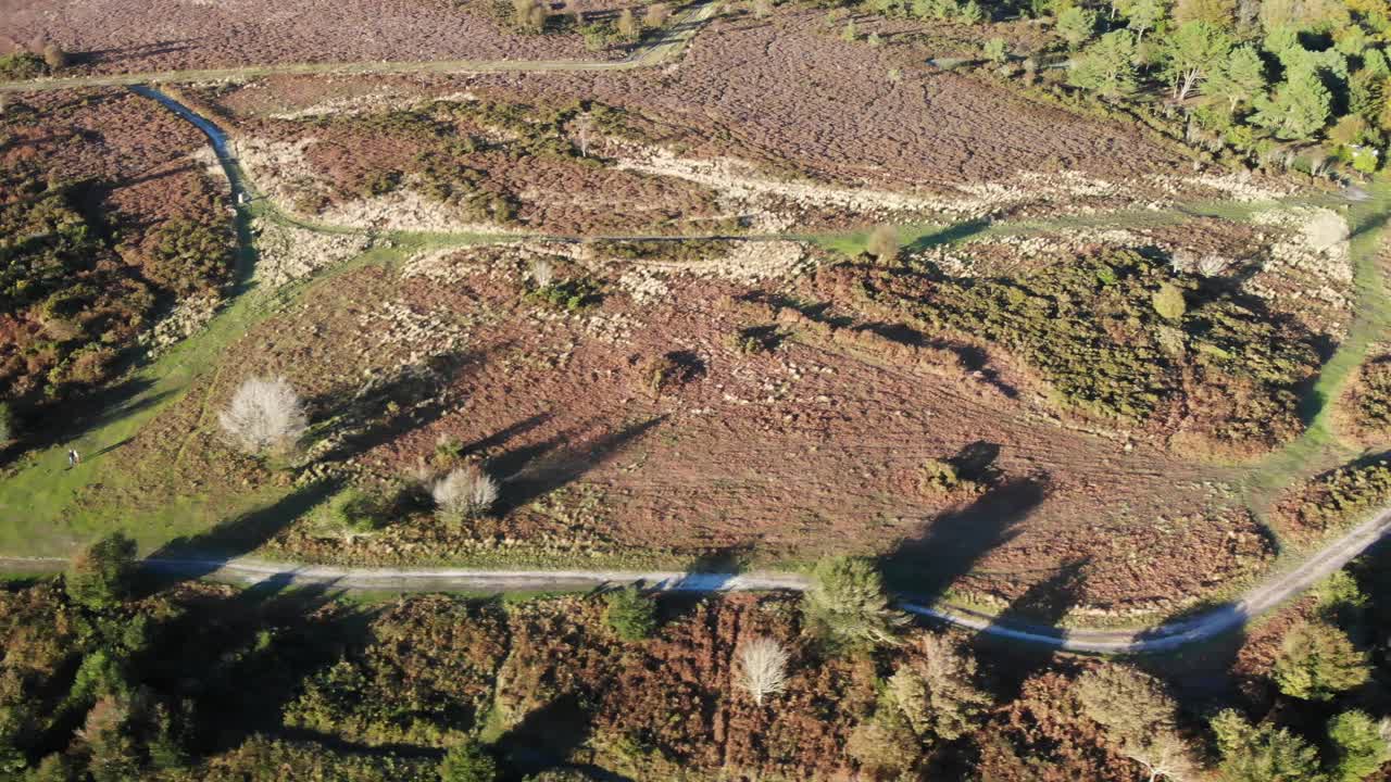 toma aérea hacia abajo al atardecer de firebeacon hill sidmouth devon, inglaterra