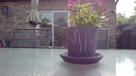 olla púrpura con las manos dibujadas en ella en un patio trasero, panando