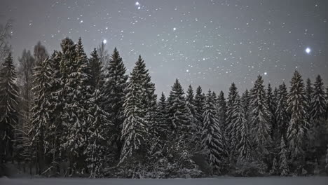 starry night into a snow covered frozen forest