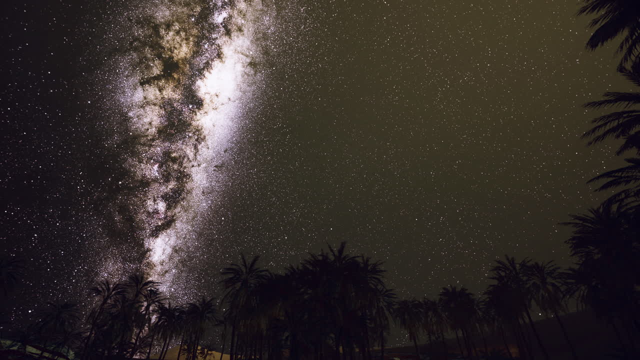 Stargazers marvel at the majestic milky way over a palm oasis at night