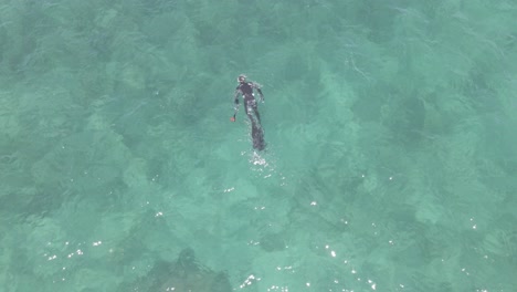 Antena-De-Arriba-Hacia-Abajo-De-Buzo-Macho-Pesca-Submarina-En-El-Océano-Pacífico-Durante-La-Luz-Del-Sol,-Australia-Occidental