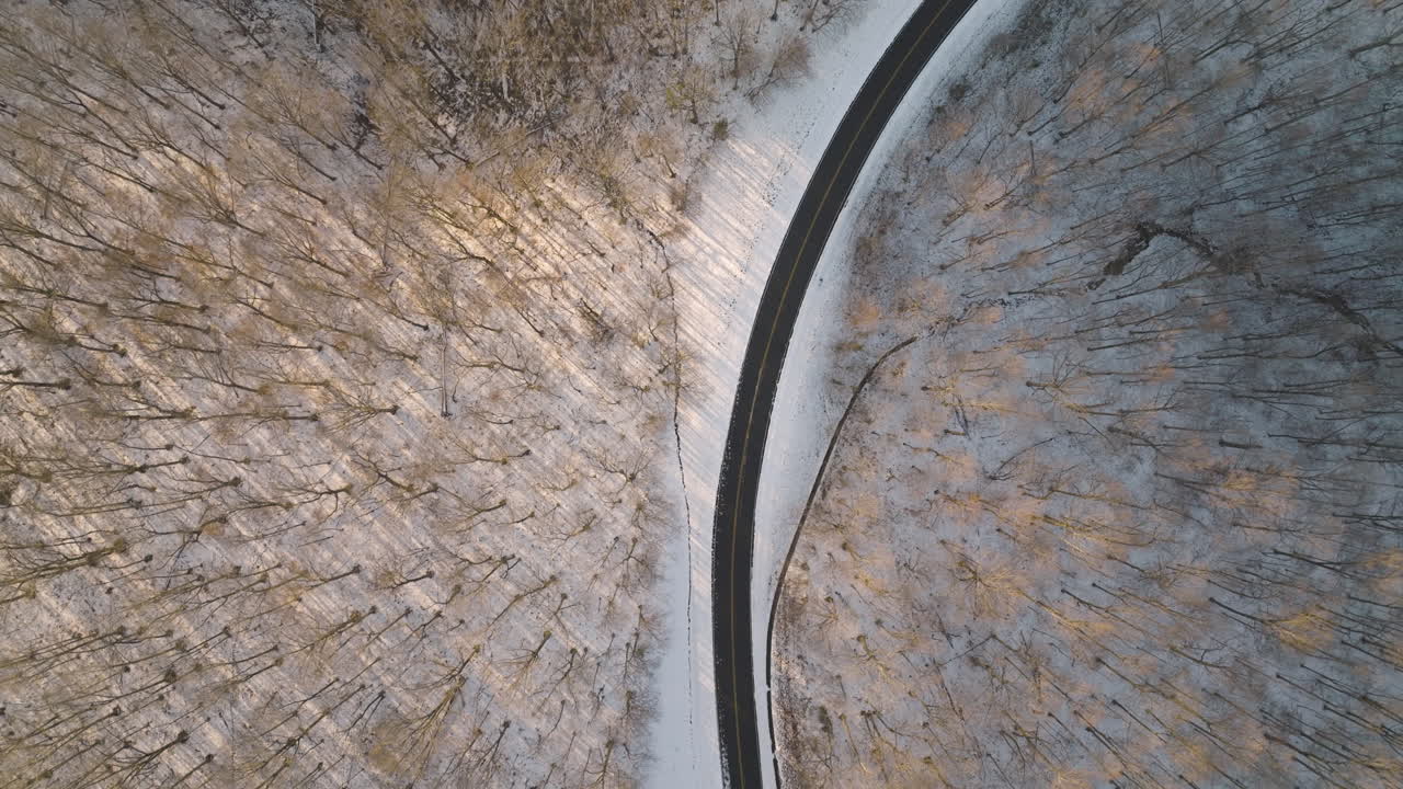 Top down view flying over Natchez Trace Scenic Highway running through snowy deciduous tree forest, Franklin, Tennessee.
