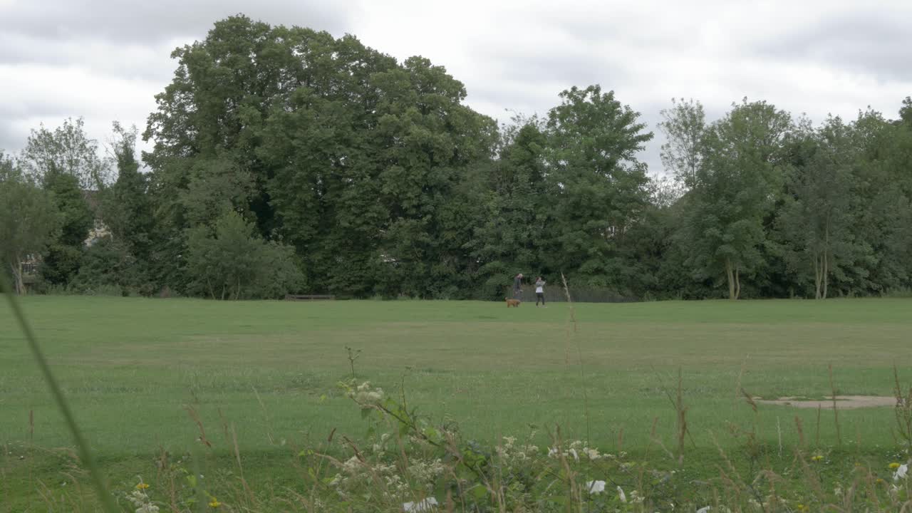 Two people walking the dog in an empty park due to coronavirus lockdown