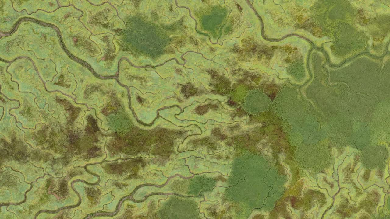 A Terra Afogada de Saeftinghe, vastas zonas húmidas de maré, Zelândia, drone aéreo