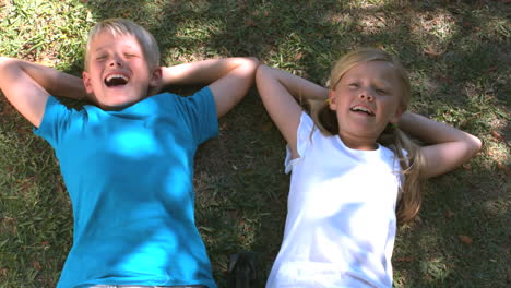 Smiling-siblings-relaxing-on-the-grass