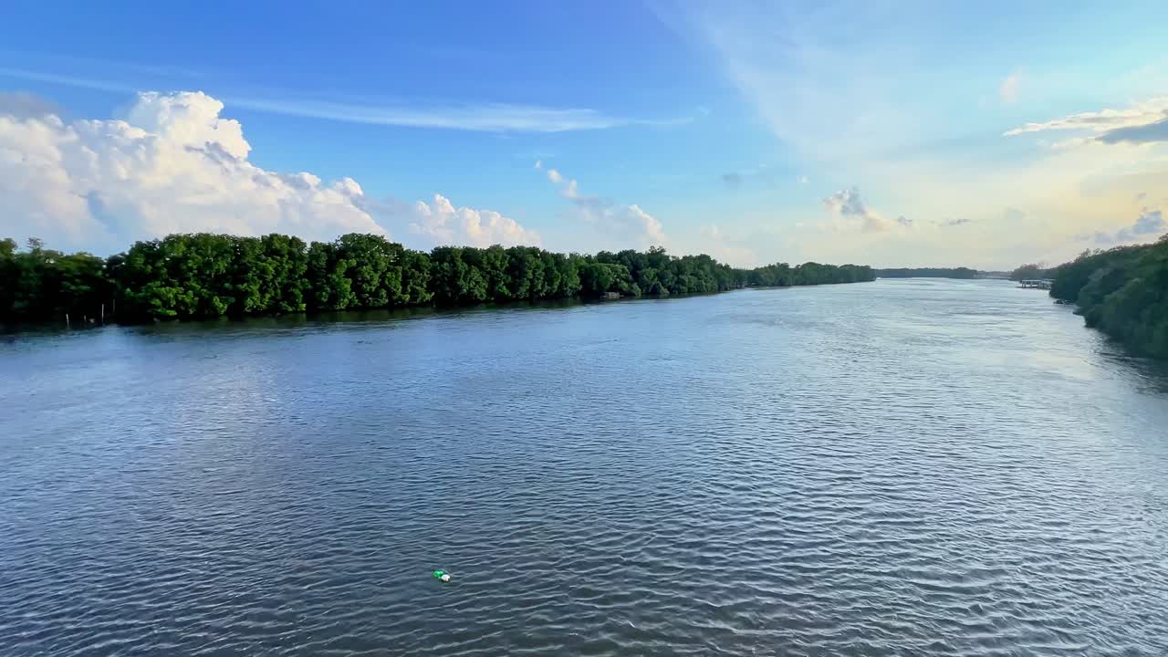 Wide calm river surrounded by dense green forest under a vivid blue sky—ideal for nature, travel, or environmental content