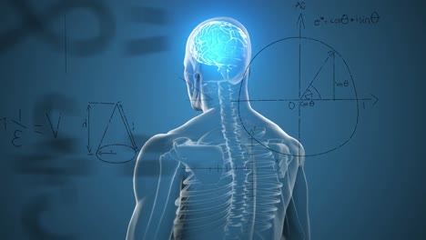 Animación-De-Sumas-Matemáticas-Y-Diagramas-Sobre-El-Cerebro-Digital-Iluminado-En-El-Cuerpo-Humano