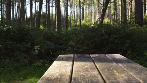 Glidetrack-shot-of-picnic-table-in-a-forest