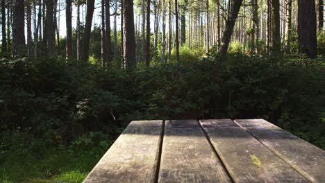 Glidetrack-Aufnahme-Eines-Picknicktisches-In-Einem-Wald