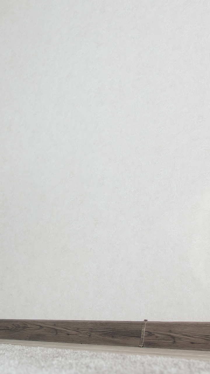 Pedigree kitten catches reflection of the sun. Adorable burmese cat playing indoors. Funny purebred kitty at home. Vertical video